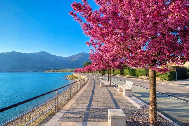 Lakeside promenade in Iseo along Lake Iseo