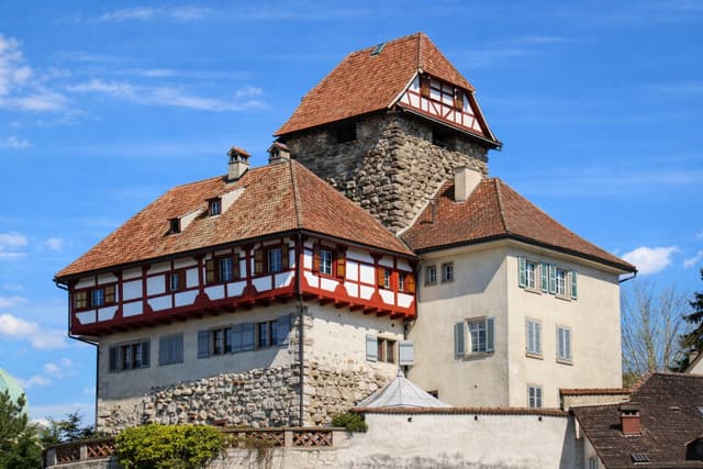 Frauenfeld castle and historic town view