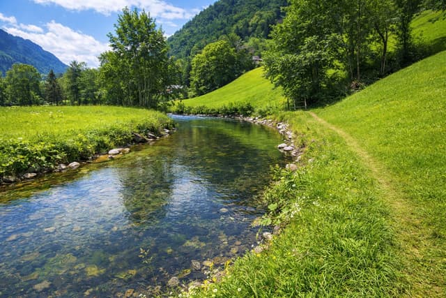 River Thur landscape near Frauenfeld