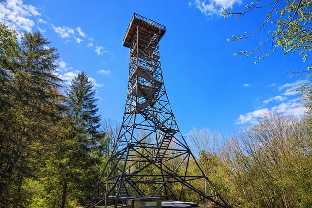 View tower near Frauenfeld surrounded by forest